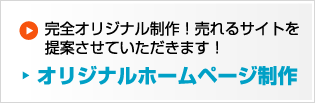 オリジナルホームページ制作